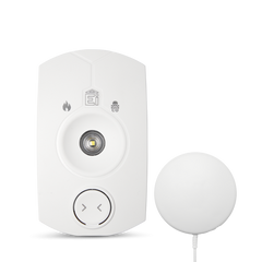 AICO EI171RF FLASHING STROBE 230V