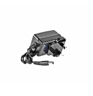 12V DC 2A